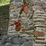 Belzer Guest house