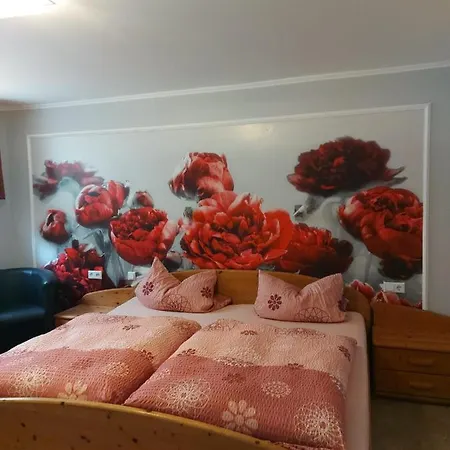 Belzer Guest house 3*
