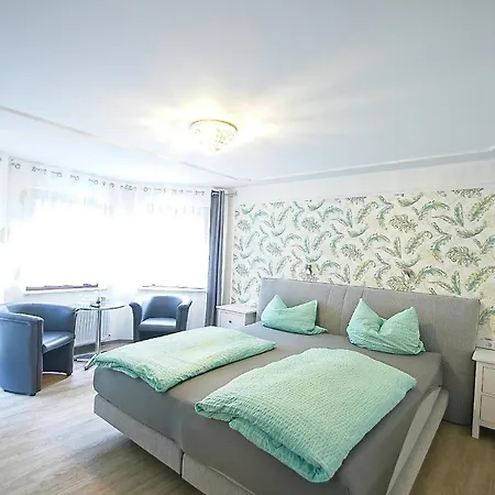 Guest house Belzer