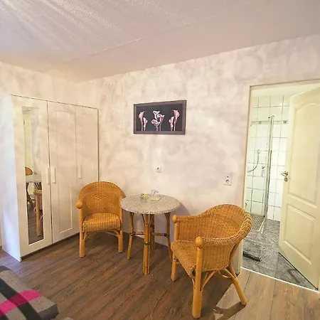 Guest house Belzer