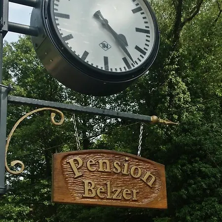 Guest house Belzer 3*